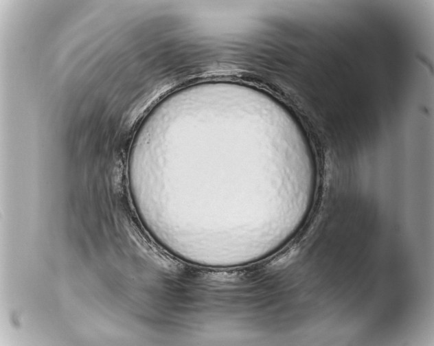 X0000103481401200810100948