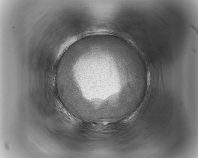 X0000103481405200810100948