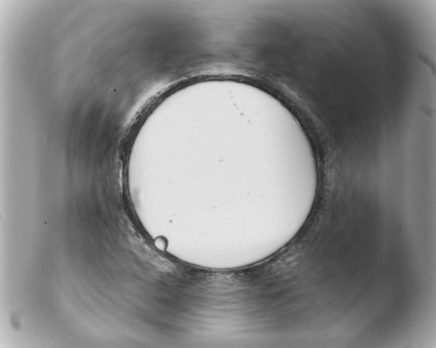 X0000103481408200810100948
