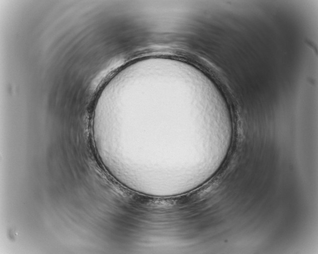 X0000103481411200810100948