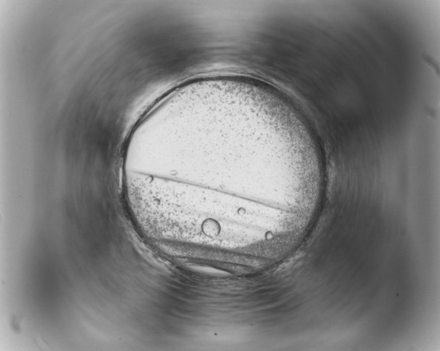 X0000103481413200810100948