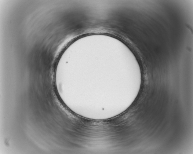 X0000103481416200810100948
