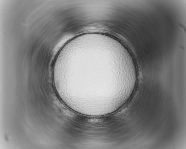X0000103481419200810100948