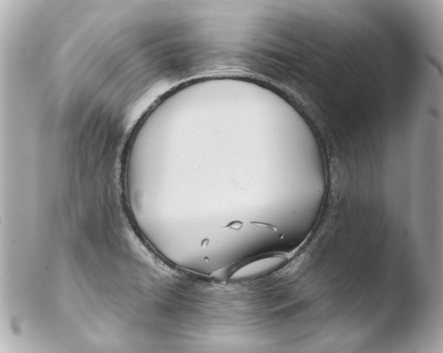 X0000103481422200810100948