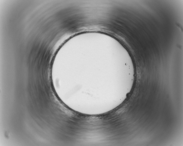 X0000103481424200810100948