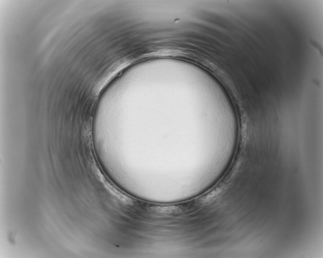 X0000103481425200810100948