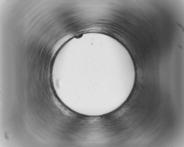 X0000103481426200810100948