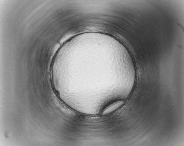 X0000103481427200810100948