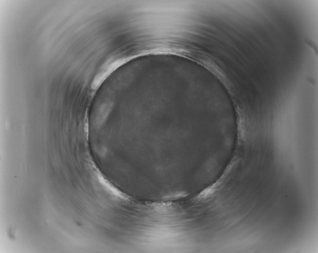 X0000103481428200810100948