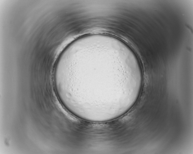 X0000103481429200810100948