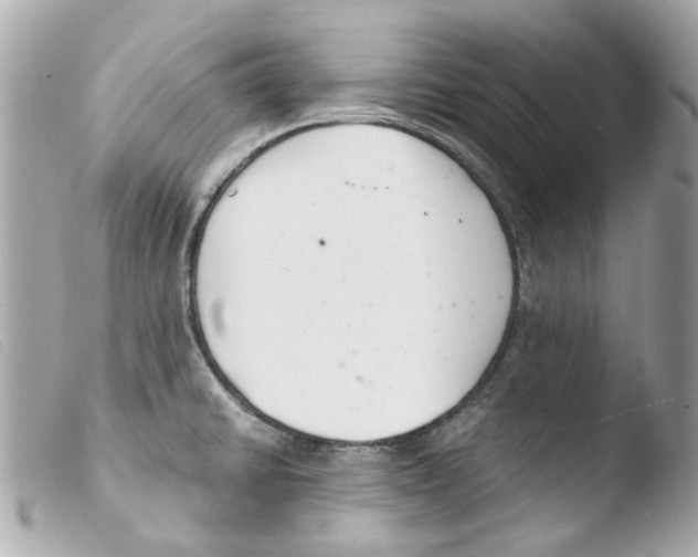 X0000103481430200810100948