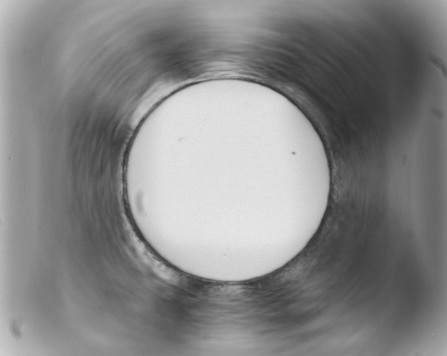 X0000103481431200810100948