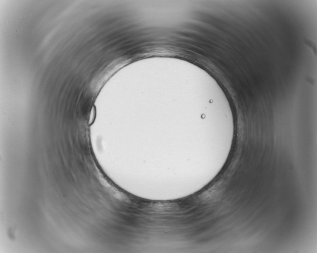 X0000103481433200810100948