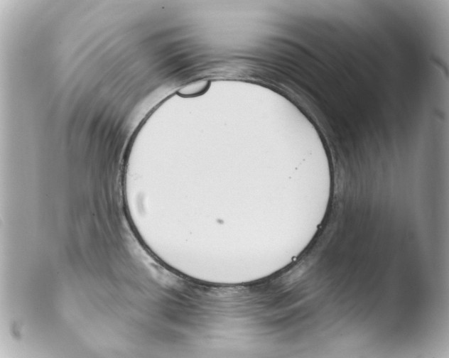 X0000103481434200810100949