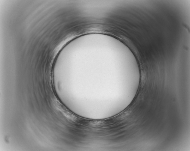 X0000103481435200810100949