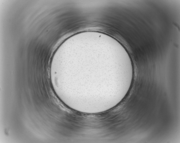 X0000103481436200810100949