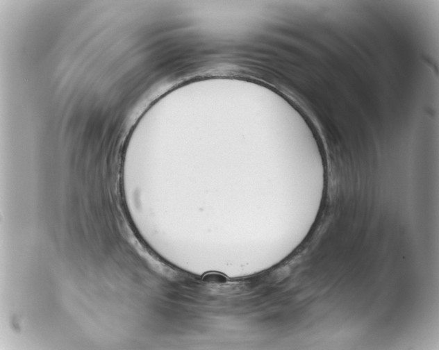 X0000103481437200810100949