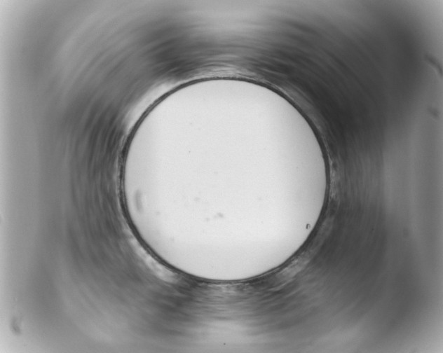X0000103481438200810100949