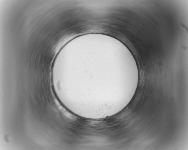 X0000103481439200810100949
