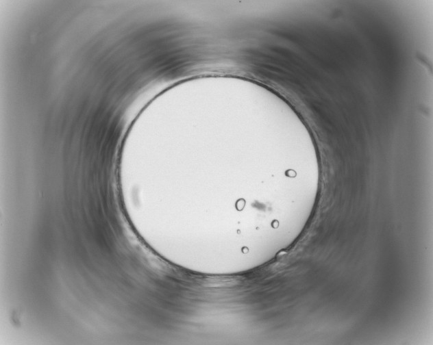 X0000103481440200810100949