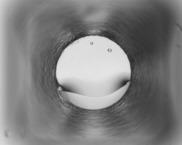 X0000103481441200810100948