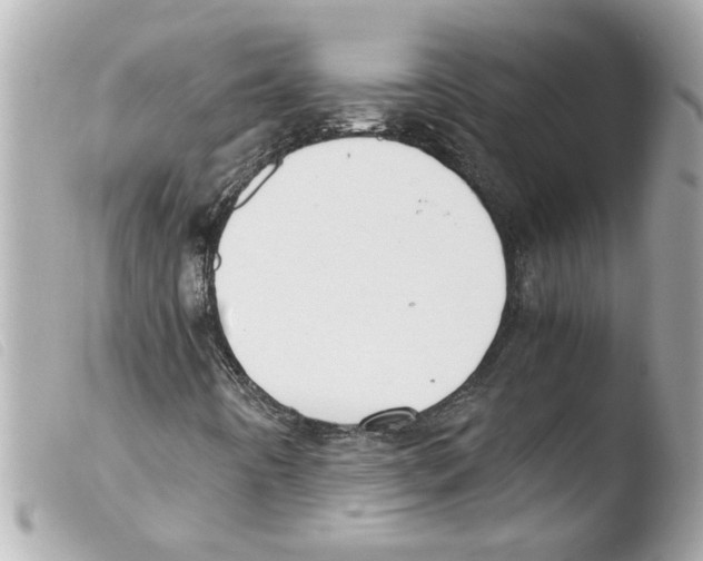 X0000103481442200810100948