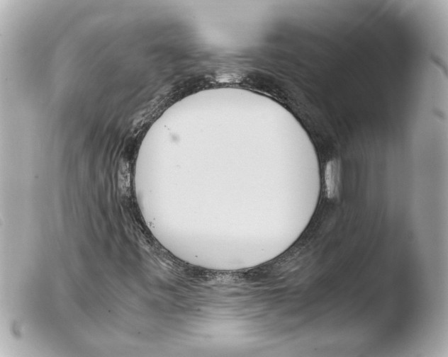 X0000103481443200810100948