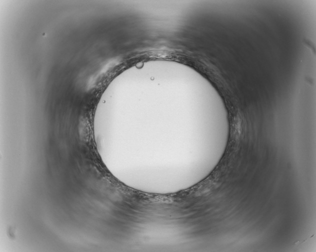 X0000103481446200810100948