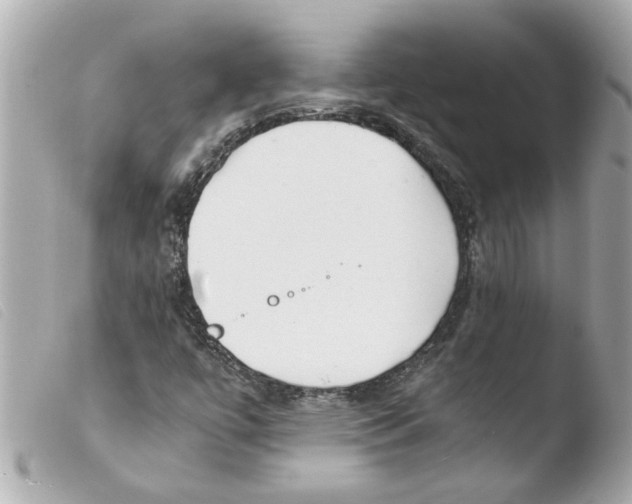 X0000103481447200810100948
