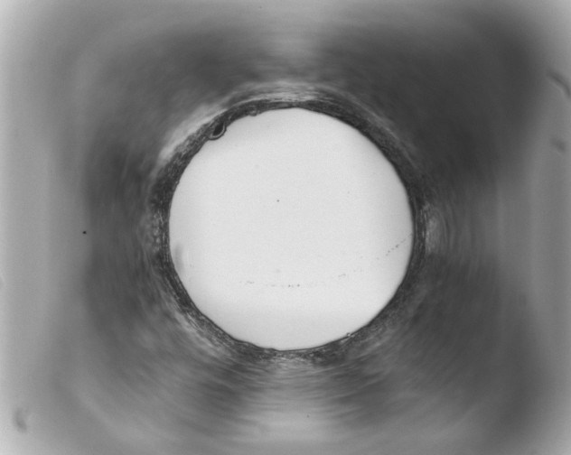 X0000103481448200810100948