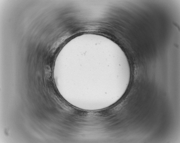 X0000103481449200810100948
