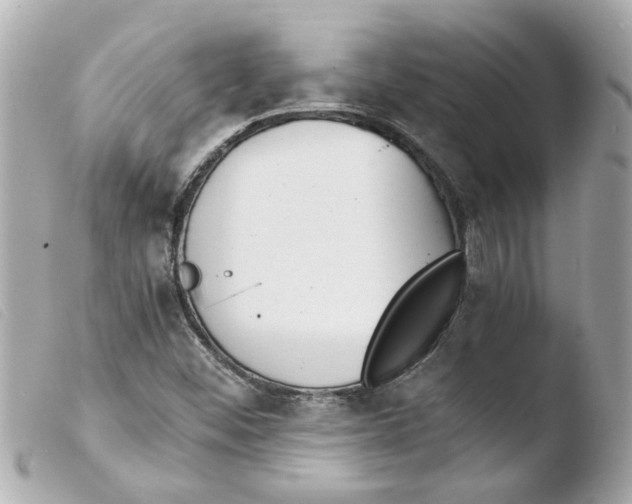 X0000103481452200810100948