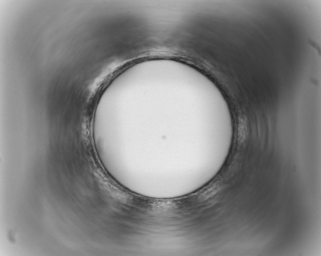 X0000103481454200810100948