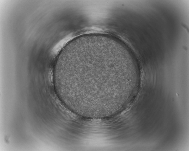 X0000103481455200810100948