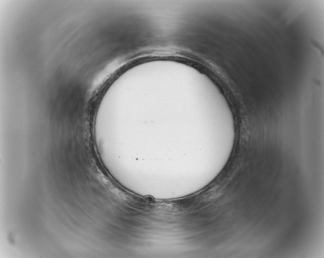 X0000103481456200810100948