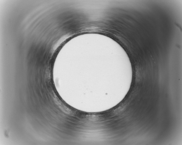 X0000103481458200810100948