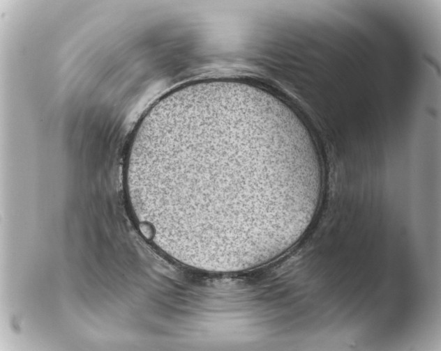 X0000103481459200810100948