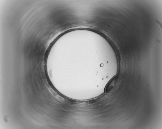 X0000103481460200810100948