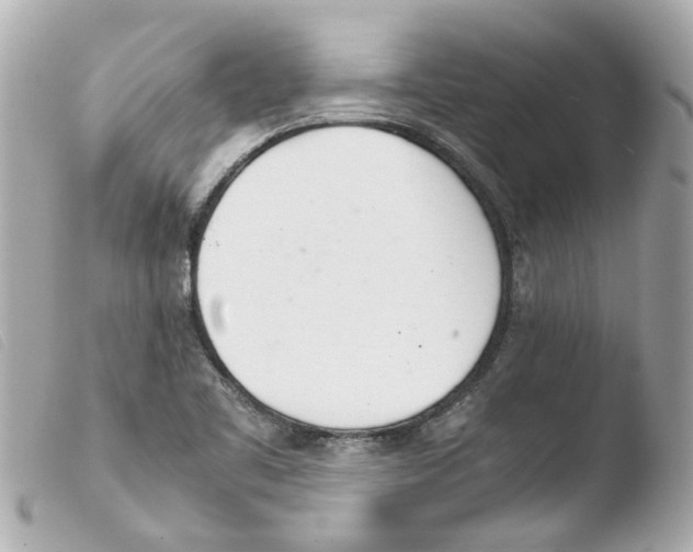 X0000103481461200810100948