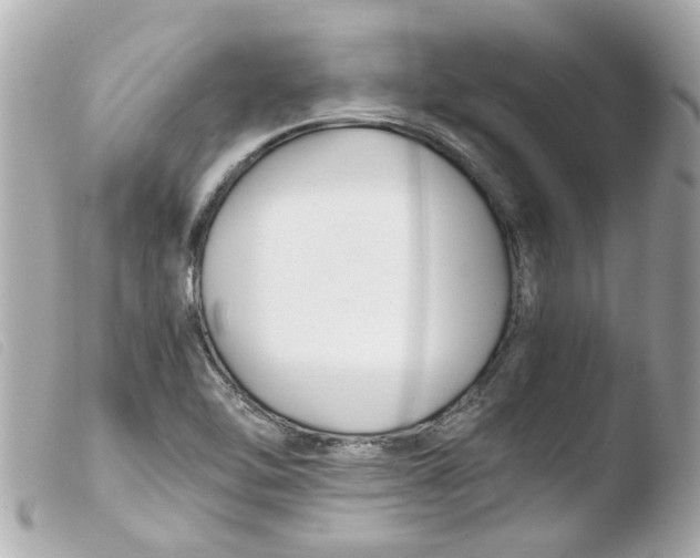 X0000103481462200810100948