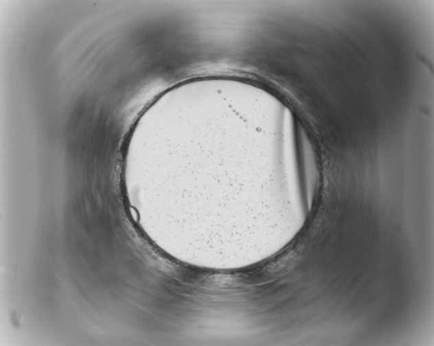 X0000103481463200810100948