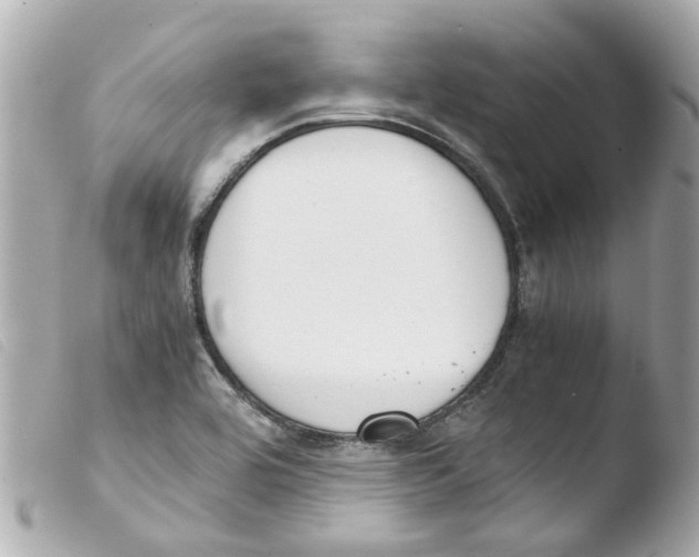 X0000103481464200810100948