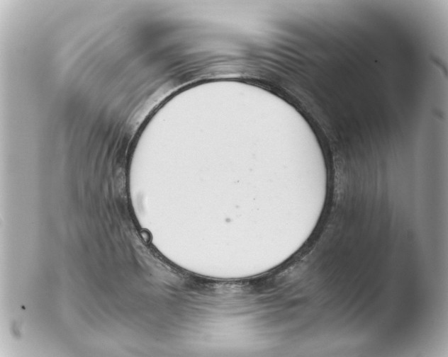 X0000103481465200810100948
