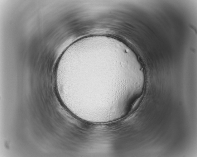 X0000103481467200810100948