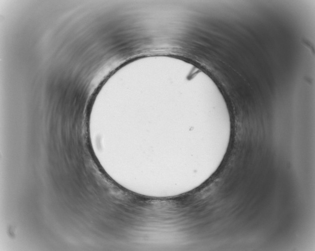 X0000103481469200810100947