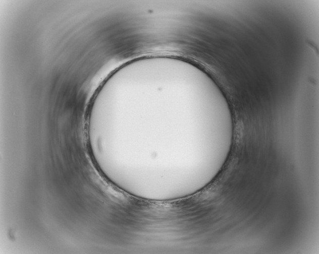 X0000103481470200810100947