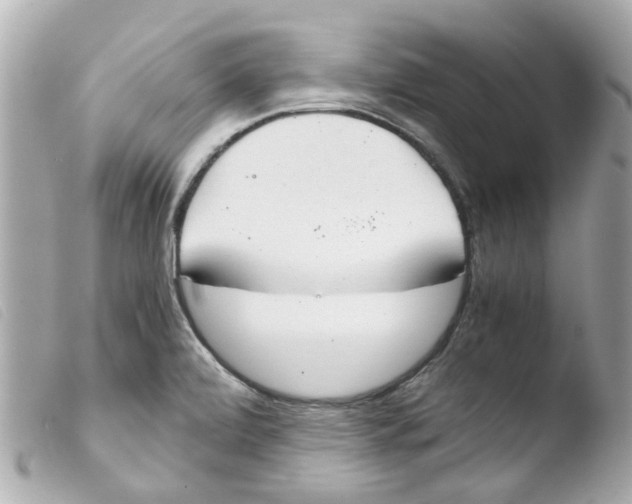 X0000103481472200810100947