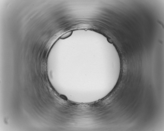 X0000103481473200810100947