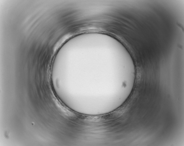 X0000103481474200810100947