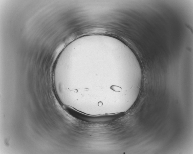 X0000103481475200810100947